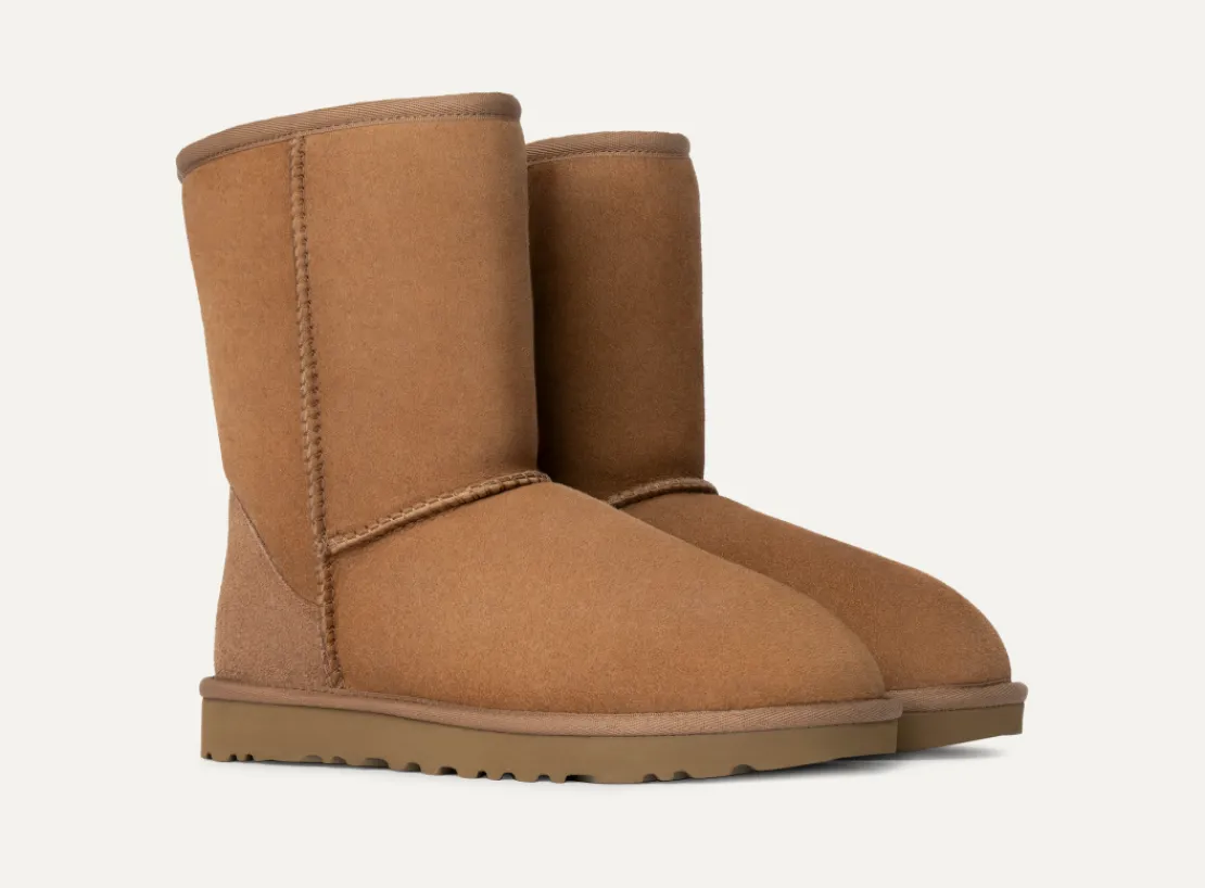 Toutes Les Bottes | Bottes Classic>UGG Femme Botte Classic Short II chestnut