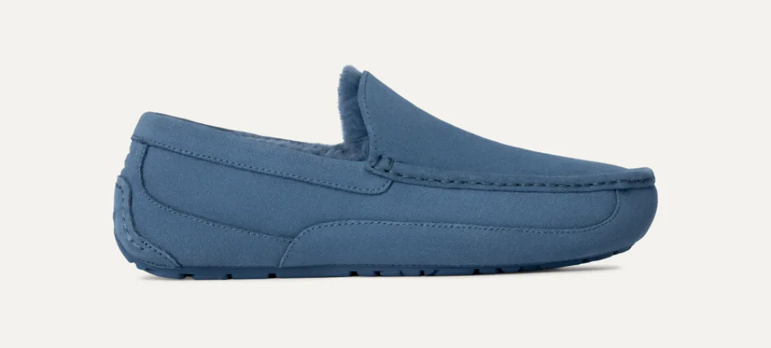 Mocassins Et Chaussures | Chaussons>UGG Homme Chausson Ascot pacificblue