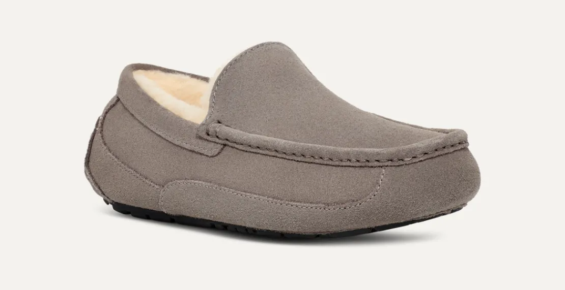Mocassins Et Chaussures | Chaussons>UGG Homme Chausson Ascot grey