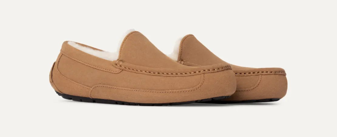 Mocassins Et Chaussures | Chaussons>UGG Homme Chausson Ascot chestnut