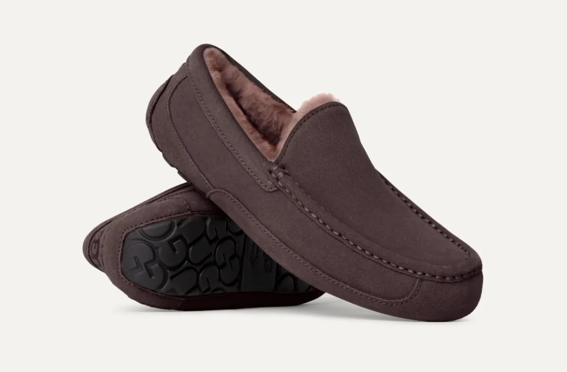 Mocassins Et Chaussures | Chaussons>UGG Homme Chausson Ascot dustedcocoa