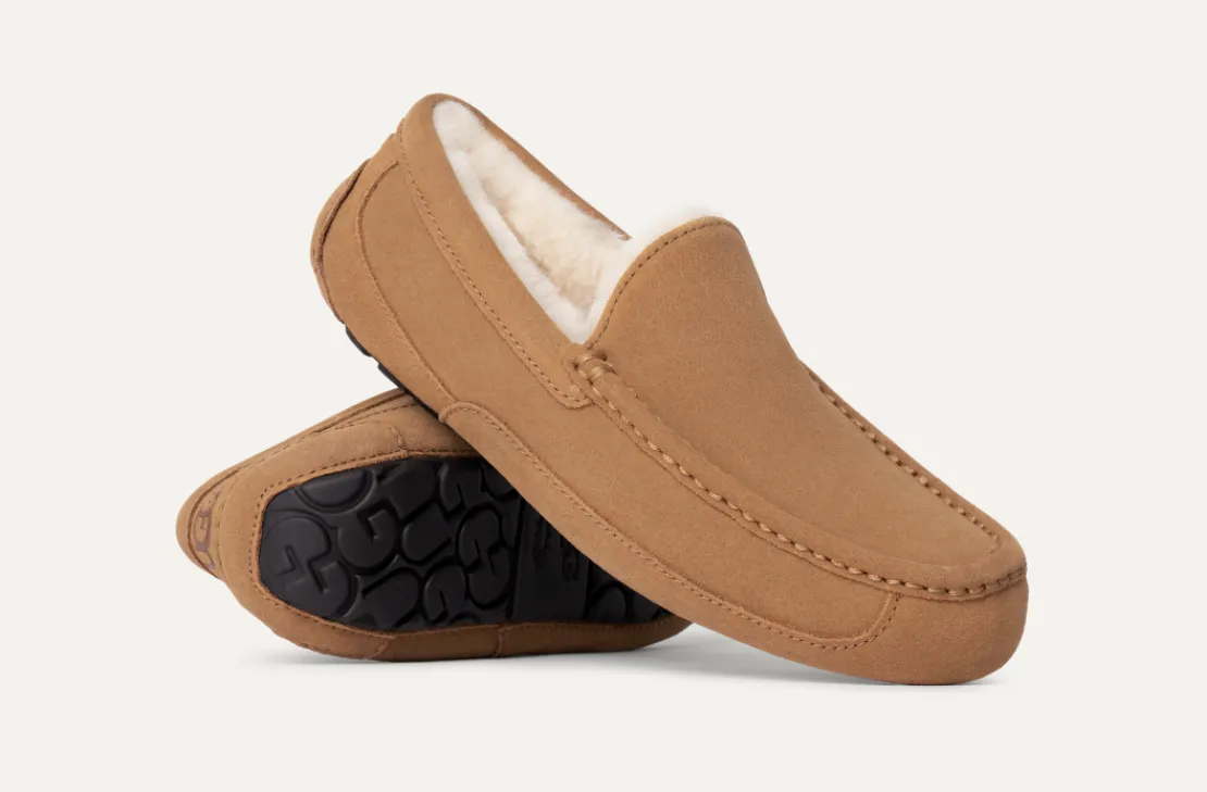 Mocassins Et Chaussures | Chaussons>UGG Homme Chausson Ascot chestnut