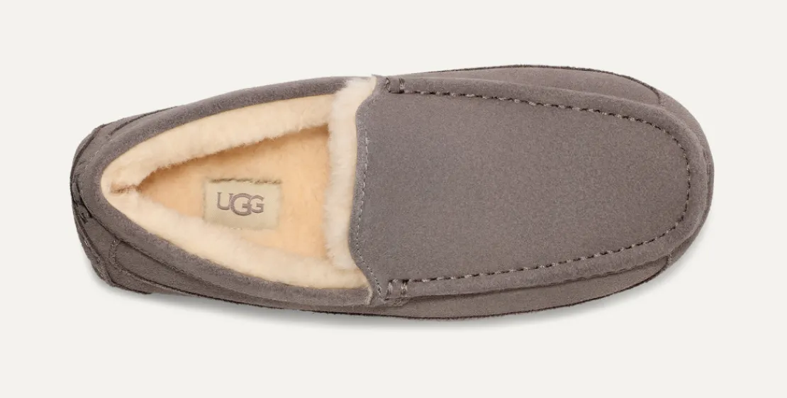 Mocassins Et Chaussures | Chaussons>UGG Homme Chausson Ascot grey