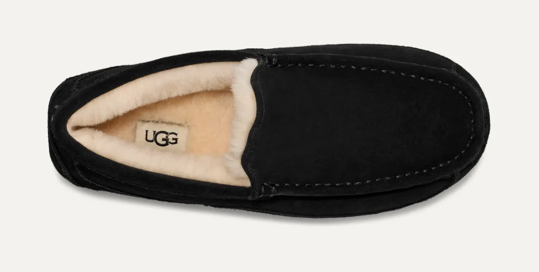 Mocassins Et Chaussures | Chaussons>UGG Homme Chausson Ascot black