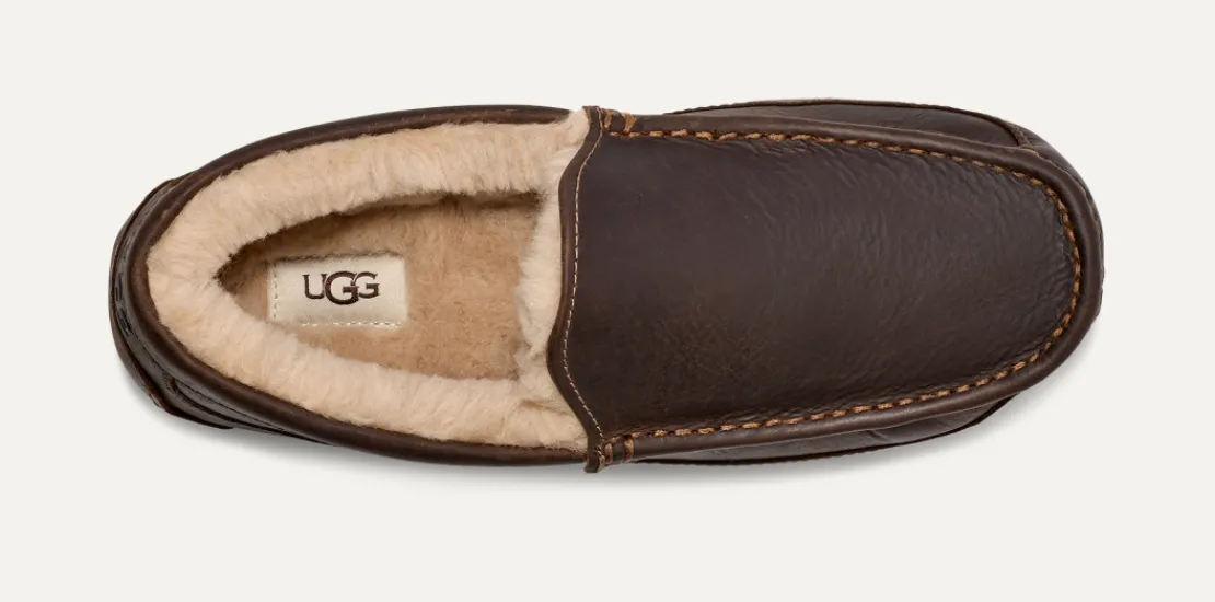 Chaussons>UGG Homme Chausson Ascot tan