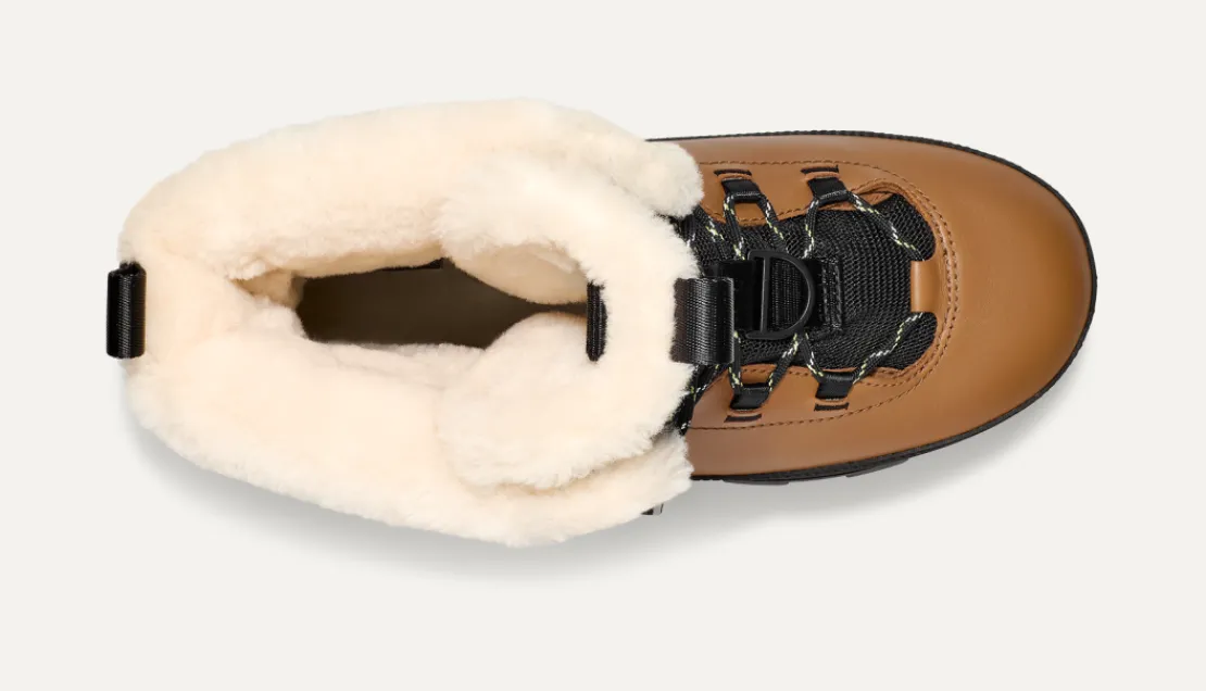 Toutes Les Bottes | Toutes Les Bottes>UGG Unisexe Botte Shasta Tall chestnut